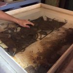 Soak and disassemble and clean